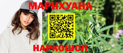 сатива Моздок