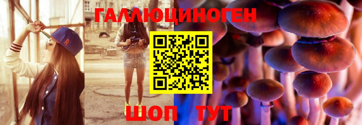 Галлюциногенные грибы Psilocybe  Вход с VPN  Ставрополь 