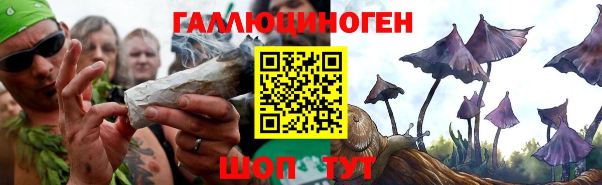 Галлюциногенные грибы MAGIC MUSHROOMS Ставрополь